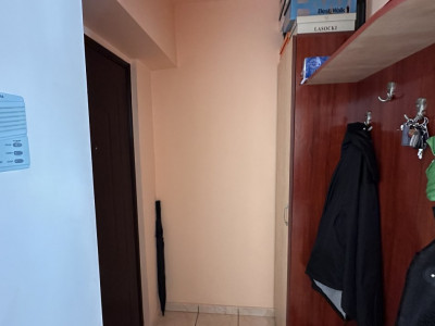 Apartamente de vanzare Timisoara Buziasului imagine mica 7