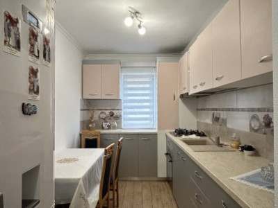 Apartamente de vanzare Sanandrei Vest imagine mica 7