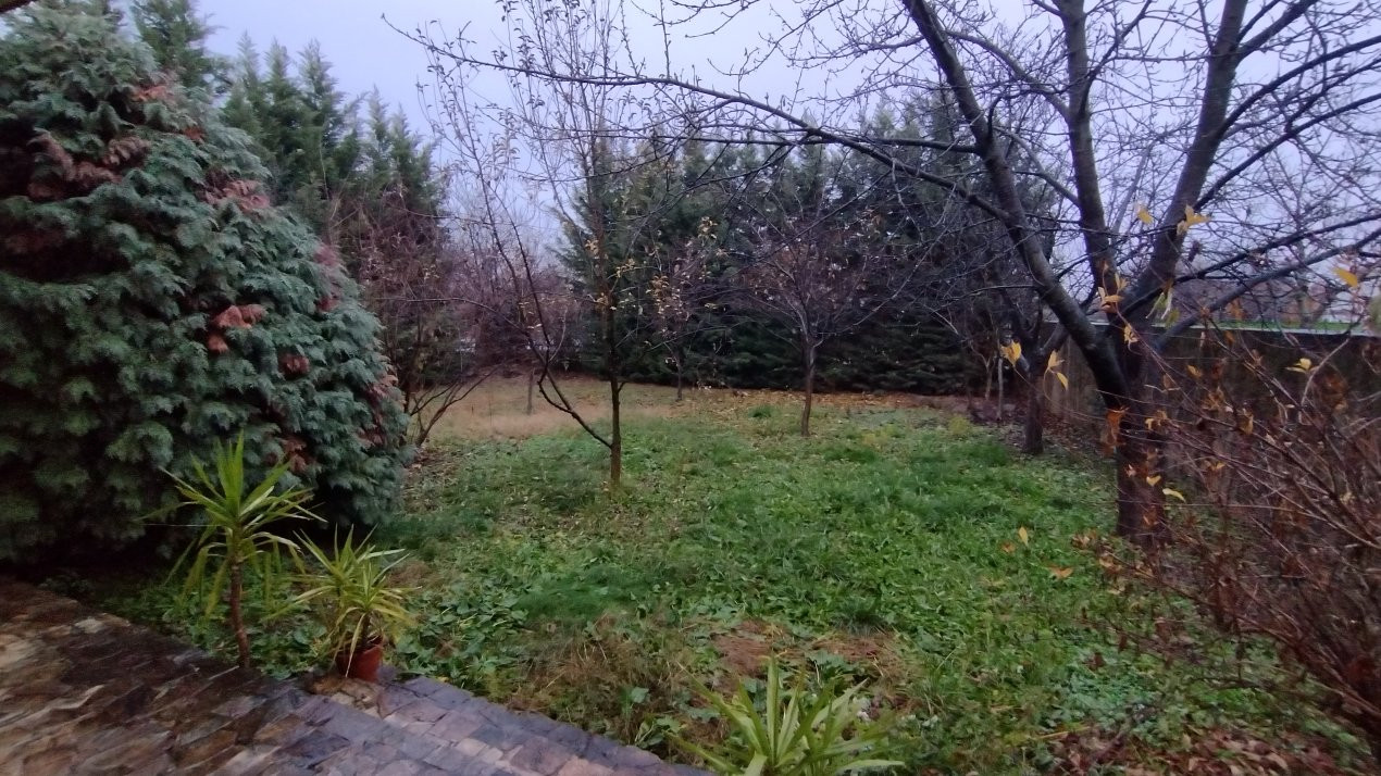 Casa individuala 6 camere, Timisoara - Zona Ronat 27, foxfort.ro