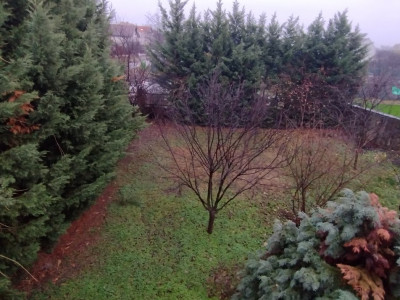 Casa individuala 6 camere, Timisoara - Zona Ronat imagine mica 29, foxfort.ro