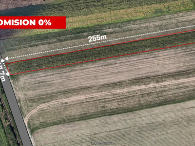 COMISION 0% Teren extravilan agricol, Utvin - 4343 mp imagine mica 2, foxfort.ro