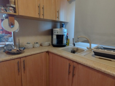 COMISION 0% Teren 859mp+Casa mobila, Sacalaz - Bransat curent si apa imagine mica 11, foxfort.ro