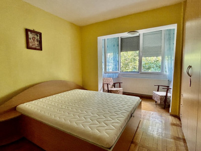 Apartamente de vanzare Timisoara Aradului imagine mica 3