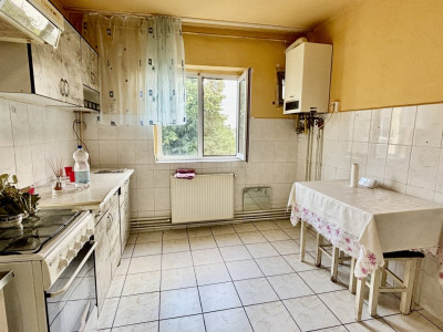 Apartamente de vanzare Timisoara Aradului imagine mica 5