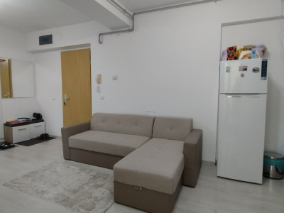 Apartamente de vanzare Timisoara Aradului imagine mica 6