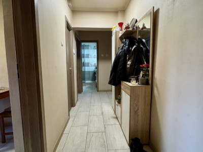 Apartamente de vanzare Timisoara Sagului imagine mica 5