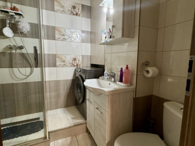 Apartamente de vanzare Timisoara Sagului imagine mica 7