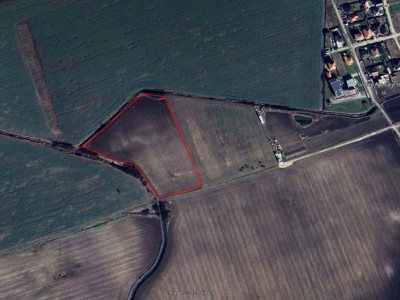 COMISION 0% Teren extravilan agricol 2ha, Sacalaz imagine mica 3, foxfort.ro