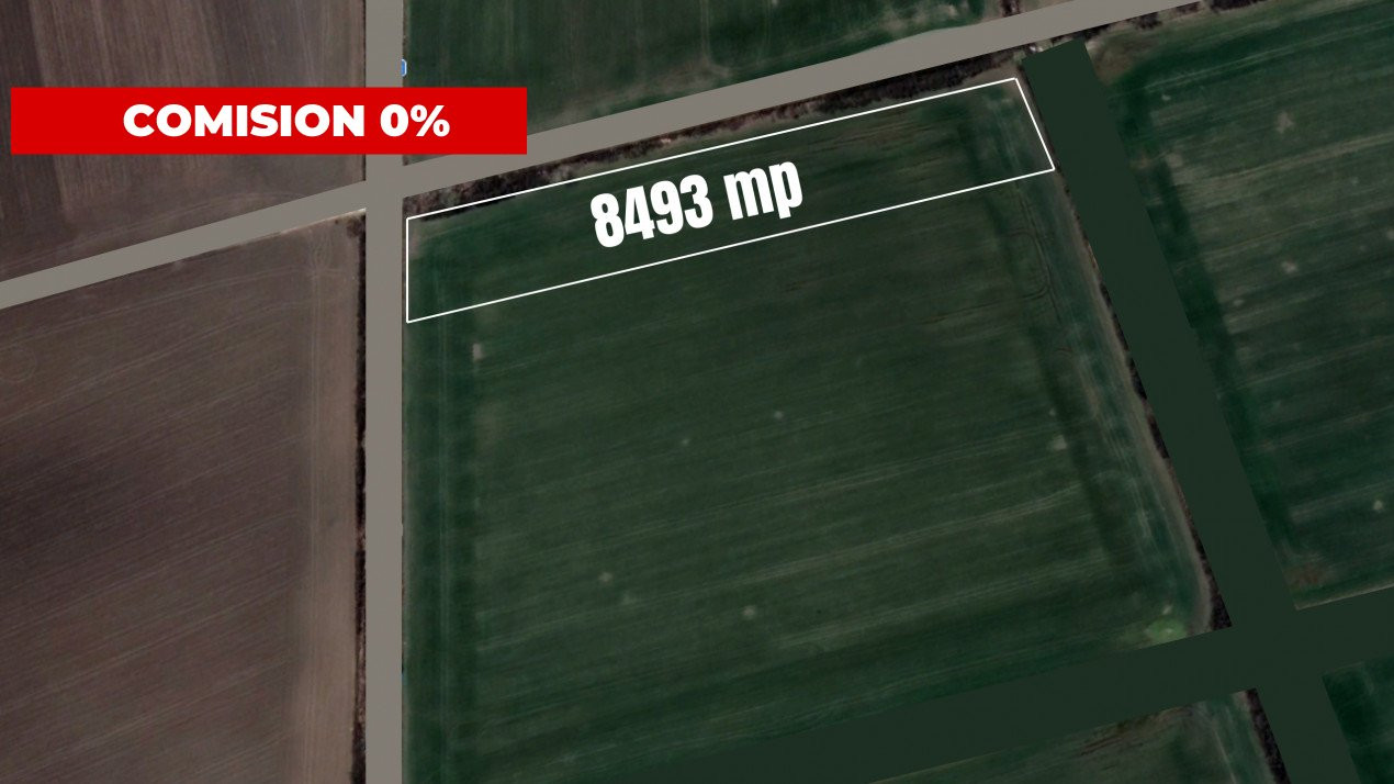 COMISION 0% Teren extravilan agricol, Sacalaz - 8493mp, 2 fronturi  2, foxfort.ro