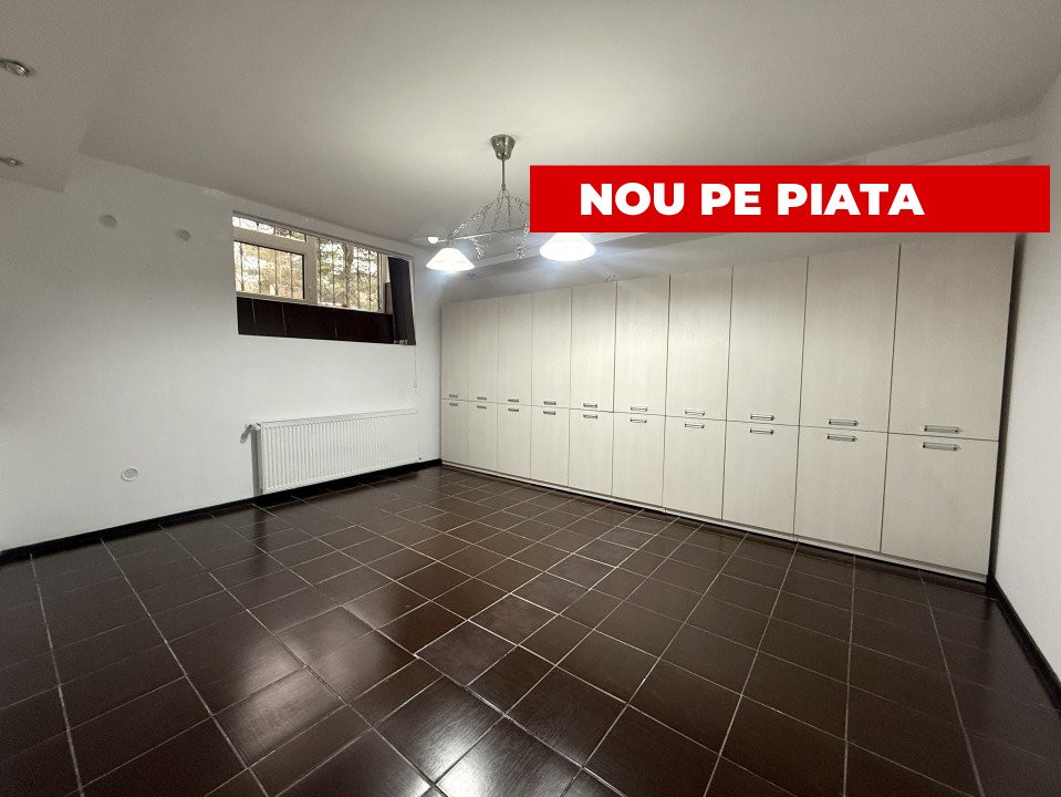 Apartamente de inchiriat Timisoara 1