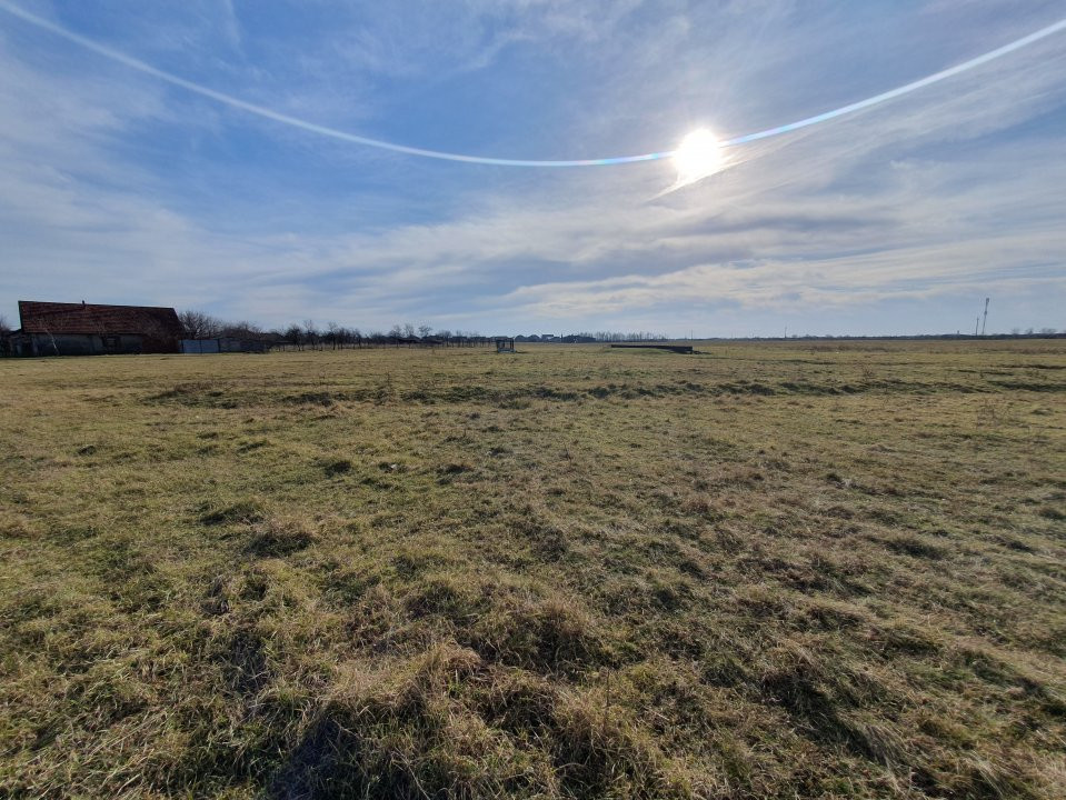 COMISION 0% Teren intravilan 6400 mp la drum asfaltat - Padureni 11, foxfort.ro