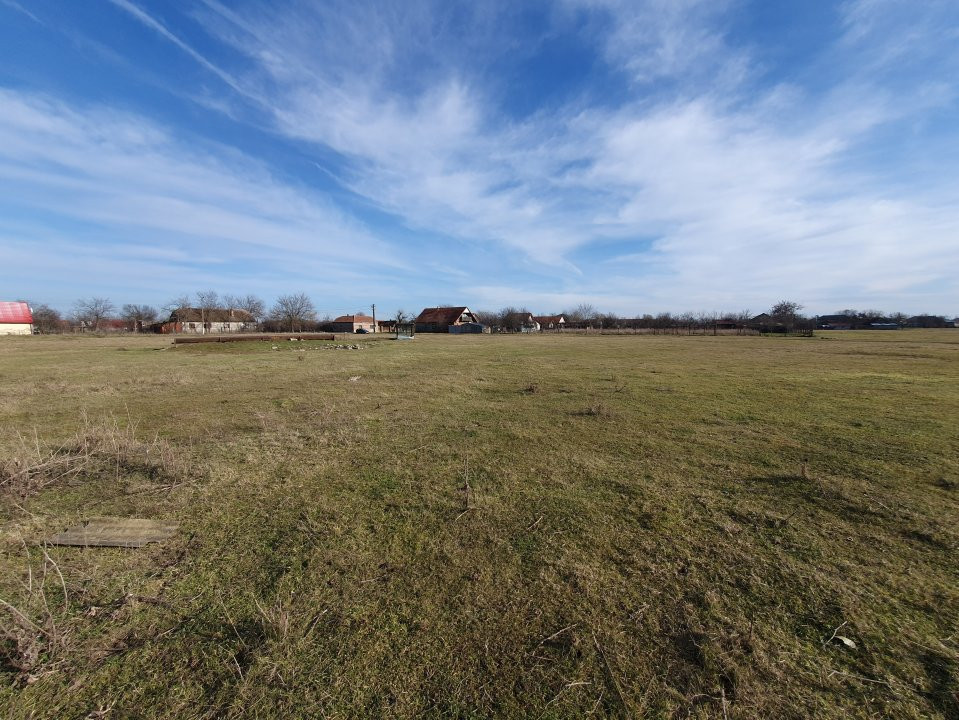 COMISION 0% Teren intravilan 6400 mp la drum asfaltat - Padureni 13, foxfort.ro