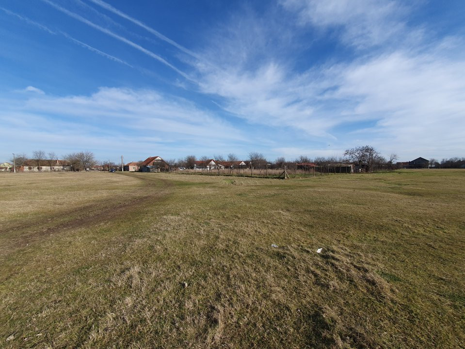 COMISION 0% Teren intravilan 6400 mp la drum asfaltat - Padureni 15, foxfort.ro