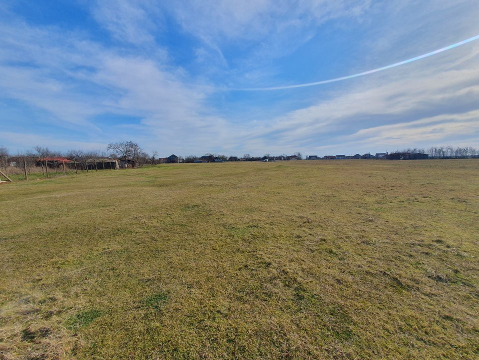 COMISION 0% Teren intravilan 6400 mp la drum asfaltat - Padureni 16, foxfort.ro