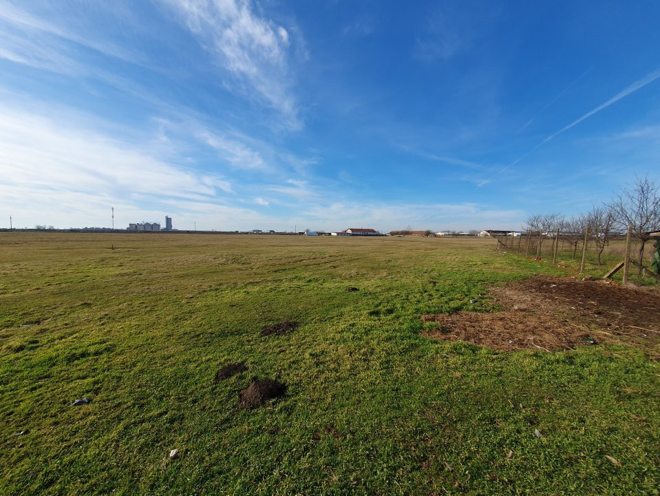 COMISION 0% Teren intravilan 6400 mp la drum asfaltat - Padureni 19, foxfort.ro