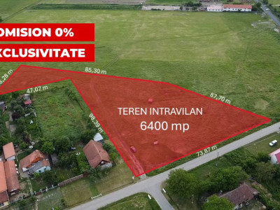 COMISION 0% Teren intravilan 6400 mp la drum asfaltat - Padureni