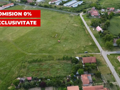 COMISION 0% Teren intravilan 6400 mp la drum asfaltat - Padureni imagine mica 5, foxfort.ro