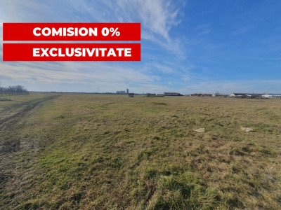 COMISION 0% Teren intravilan 6400 mp la drum asfaltat - Padureni imagine mica 9, foxfort.ro