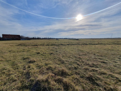 COMISION 0% Teren intravilan 6400 mp la drum asfaltat - Padureni imagine mica 11, foxfort.ro