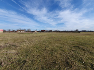 COMISION 0% Teren intravilan 6400 mp la drum asfaltat - Padureni imagine mica 13, foxfort.ro