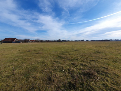 COMISION 0% Teren intravilan 6400 mp la drum asfaltat - Padureni imagine mica 14, foxfort.ro