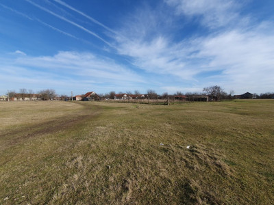 COMISION 0% Teren intravilan 6400 mp la drum asfaltat - Padureni imagine mica 15, foxfort.ro