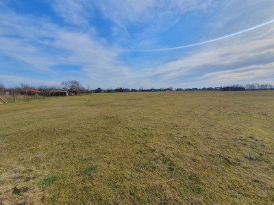 COMISION 0% Teren intravilan 6400 mp la drum asfaltat - Padureni imagine mica 16, foxfort.ro