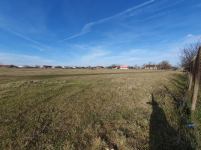 COMISION 0% Teren intravilan 6400 mp la drum asfaltat - Padureni imagine mica 20, foxfort.ro