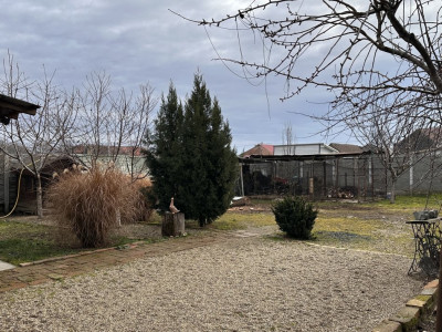 Casa individuala 6 camere, 200 mp, in Mosnita Veche, vatra satului imagine mica 5, foxfort.ro