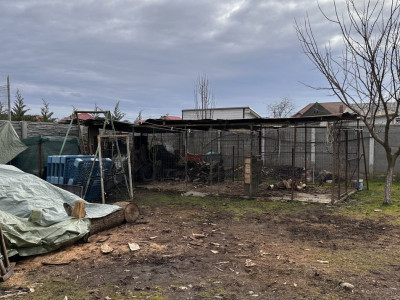 Casa individuala 6 camere, 200 mp, in Mosnita Veche, vatra satului imagine mica 13, foxfort.ro