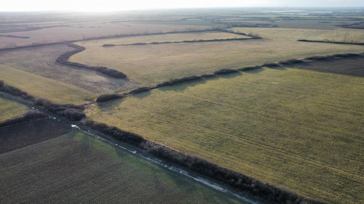 COMISION 0% Teren industrial 2000 mp, utilitati, acces TIR - Mosnita 8, foxfort.ro