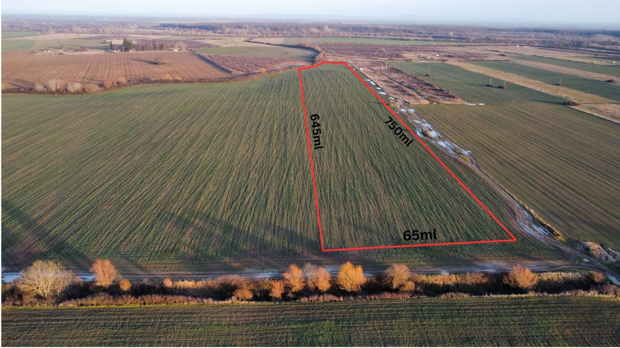 Teren extravilan arabil 50.890mp - aproape de centura Timisoara Sud 1, foxfort.ro