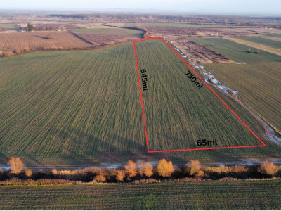 Teren extravilan arabil 50.890mp - aproape de centura Timisoara Sud