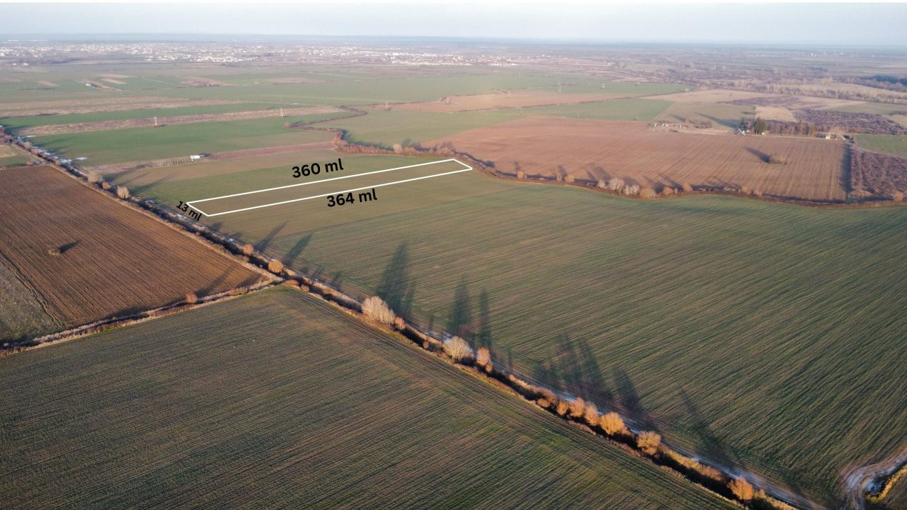 Teren extravilan arabil 4.803 mp - aproape de centura Timisoara Sud 1, foxfort.ro