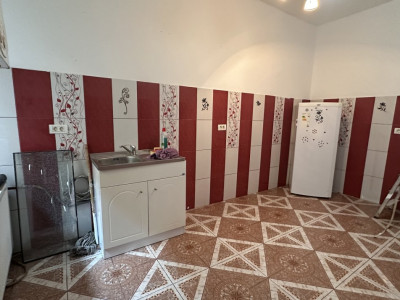 COMISION 0% Apartament cu 2 camere la parter cladire istorica in Timisoara imagine mica 2, foxfort.ro