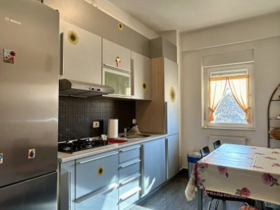 Apartamente de vanzare Timisoara Aradului imagine mica 6