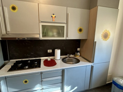 Apartamente de vanzare Timisoara Aradului imagine mica 13