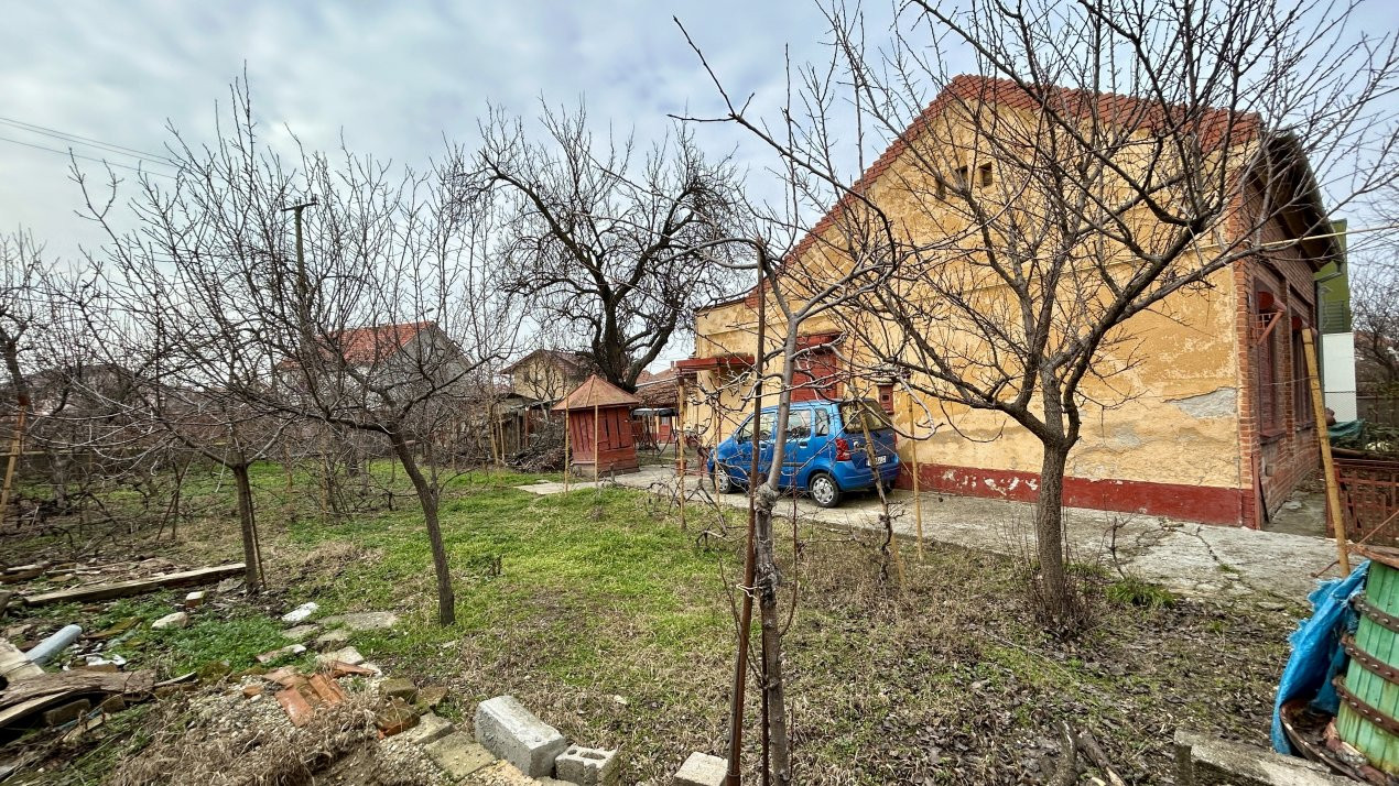 Terenuri de vanzare Timisoara Bogdanestilor 3