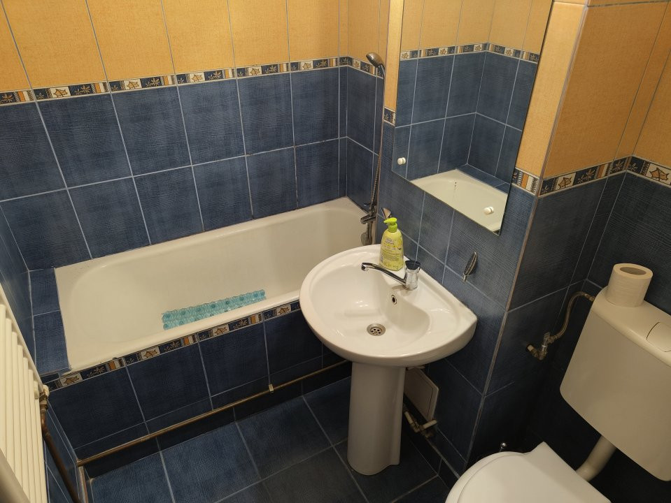 Apartamente de inchiriat Timisoara Dambovita 5