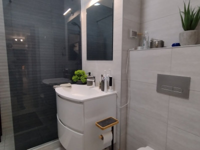 Apartamente de vanzare Timisoara Aradului imagine mica 5