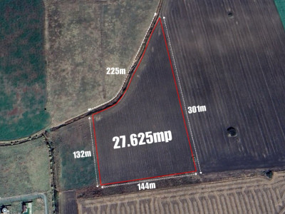 COMISION 0% Teren Extravilan Agricol, Beregsau Mare - Zona in dezvoltare imagine mica 2, foxfort.ro