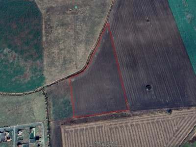 COMISION 0% Teren Extravilan Agricol, Beregsau Mare - Zona in dezvoltare imagine mica 4, foxfort.ro
