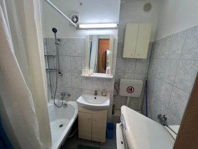 Apartamente de inchiriat Timisoara Olimpia-Stadion imagine mica 8