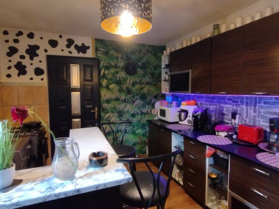 Casa individuala 4 camere, zona Ronat - Teren 902 mp imagine mica 3, foxfort.ro