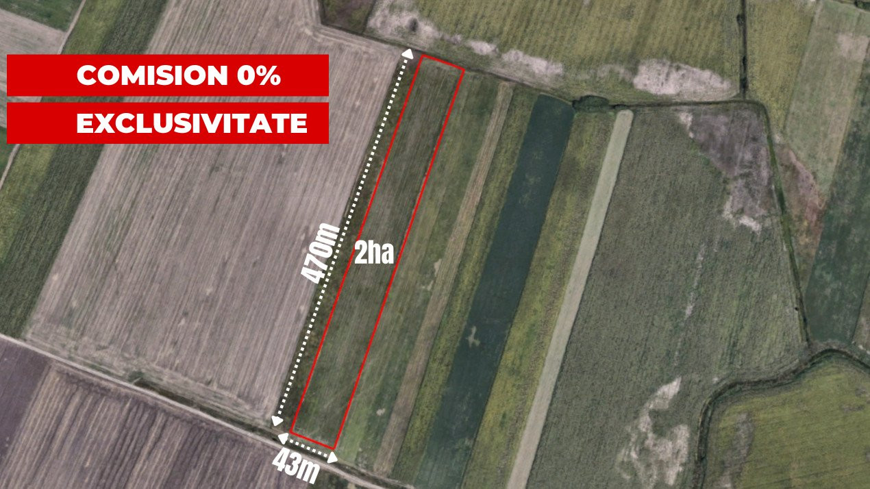 COMISION 0% Teren extravilan agricol, Sacalaz - 20.000 mp 1, foxfort.ro