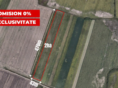 COMISION 0% Teren extravilan agricol, Sacalaz - 20.000 mp