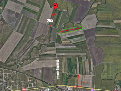 COMISION 0% Teren extravilan agricol, Sacalaz - 20.000 mp imagine mica 3, foxfort.ro