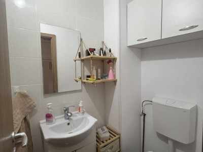 Apartamente de vanzare Timisoara Girocului imagine mica 8