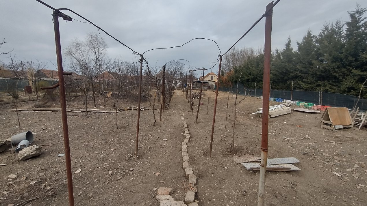 COMISION 0% Casa individuala 7 camere, Sacalaz - Teren 2063 mp 16, foxfort.ro