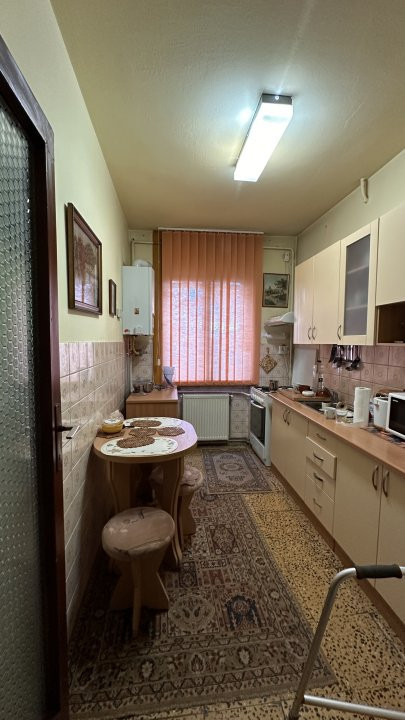 Apartamente de vanzare Timisoara Central 6